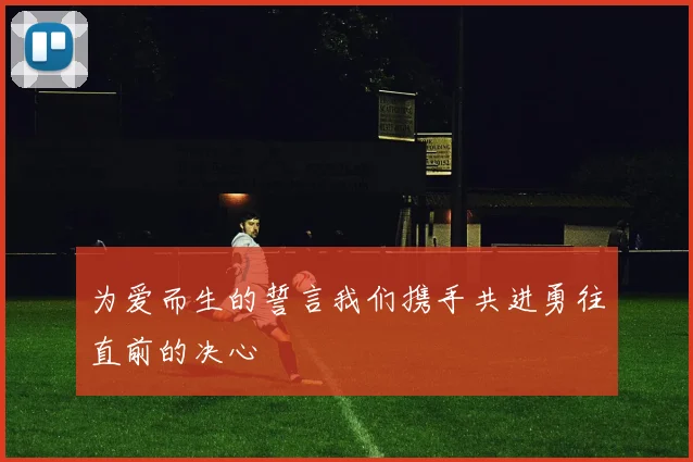 为爱而生的誓言我们携手共进勇往直前的决心